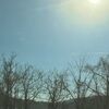 liz_01457